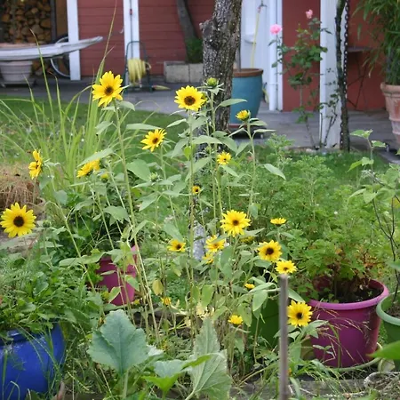 Διαμέρισμα Maison Independante 30m2 Jardin Sejour Inclus