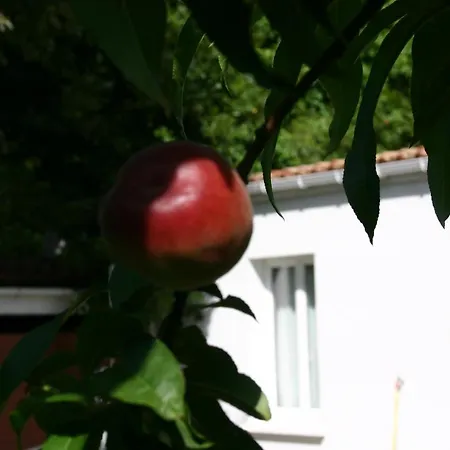 Maison Independante 30m2 Jardin Sejour Inclus Διαμέρισμα *